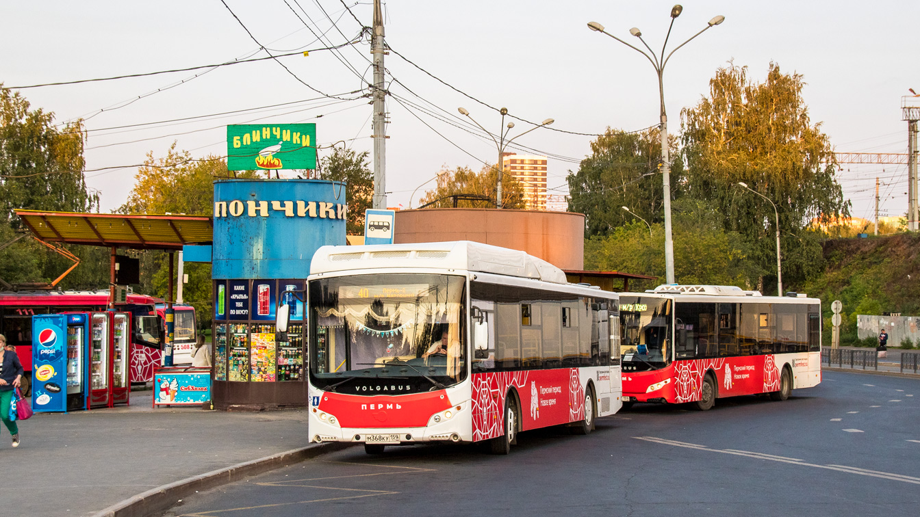 Пермский край, Volgabus-5270.G2 (CNG) № М 368 КУ 159