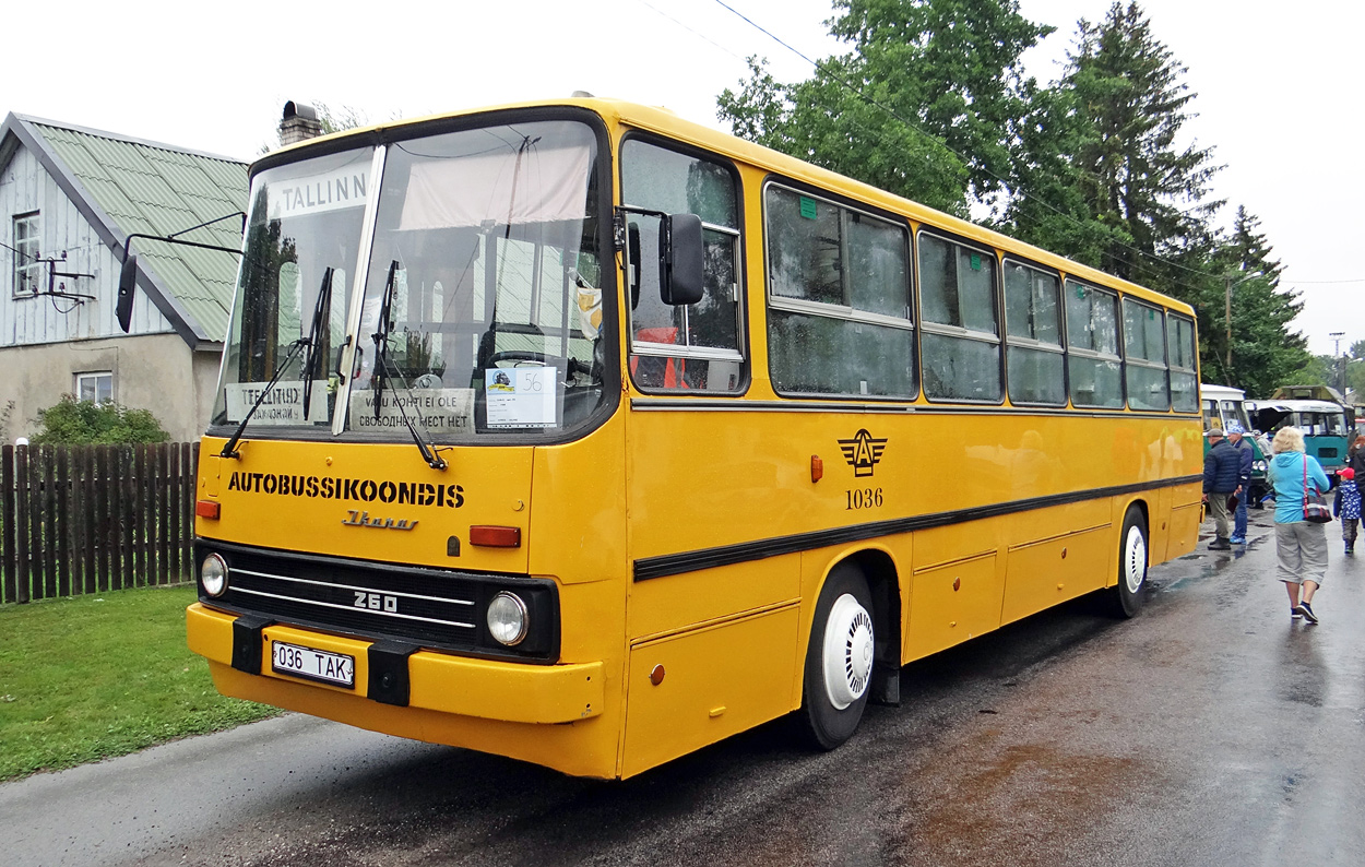 Эстония, Ikarus 260.37 № 1036; Эстония — Killavoor 2021