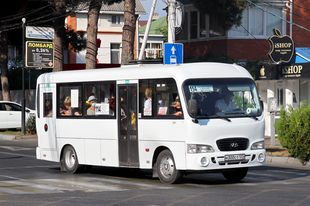 Краснодарский край, Hyundai County LWB C09 (ТагАЗ) № Н 300 СТ 123