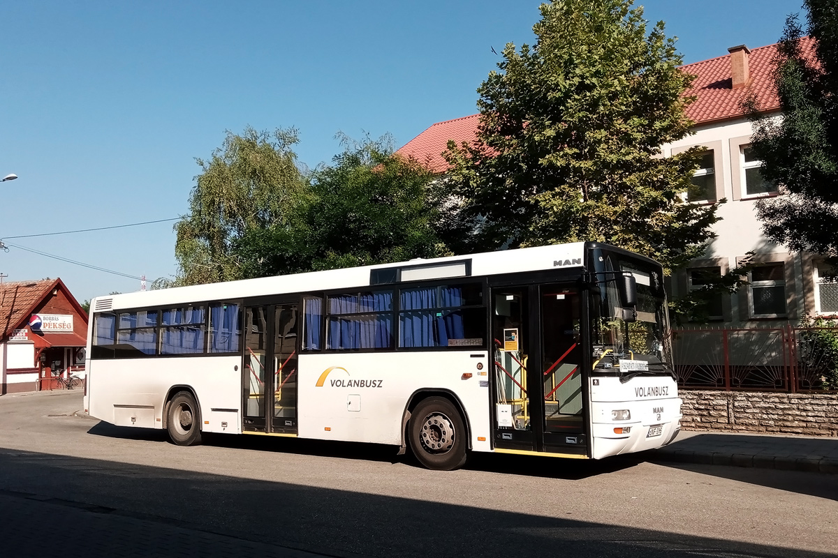 Венгрия, MAN A74 Lion's Classic SL223 № JNF-316