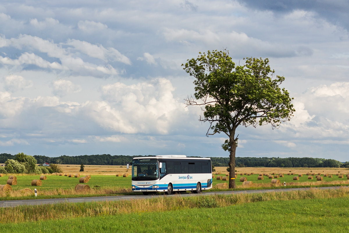 Калининградская область, Irisbus Crossway 12M № 146; Калининградская область — Разные фотографии