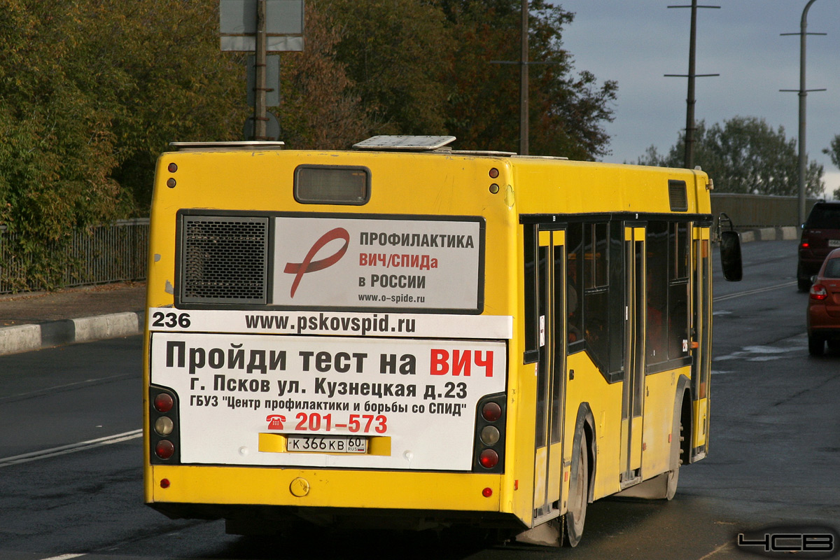 Псковская область, МАЗ-103.465 № 236