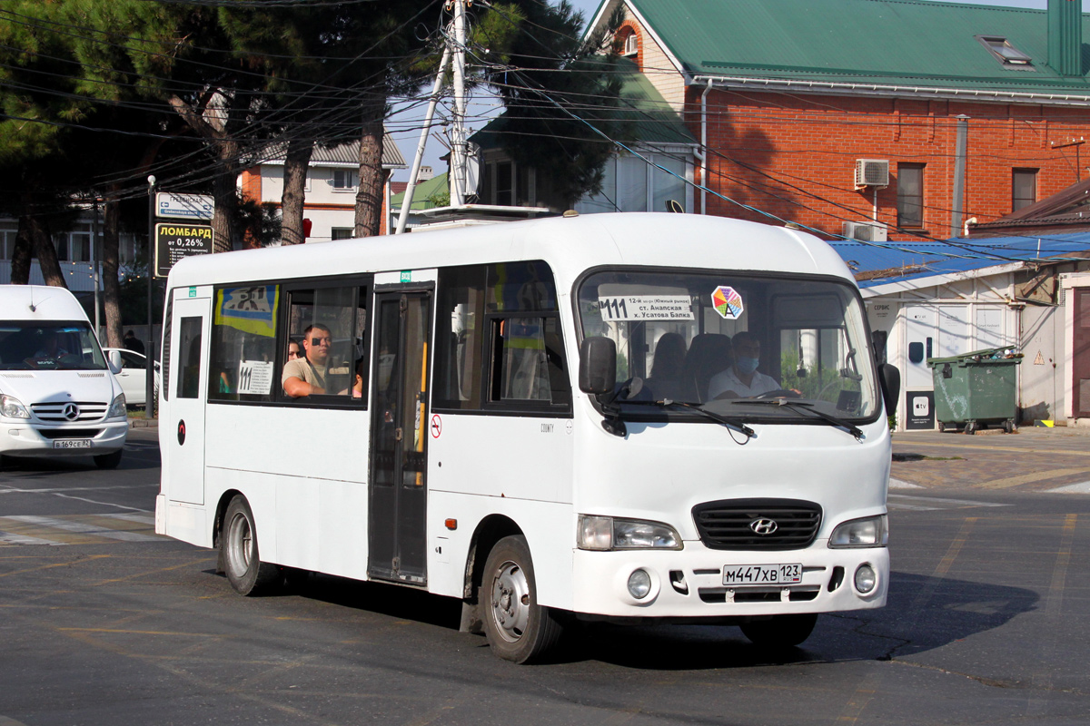 Краснодарский край, Hyundai County LWB C09 (ТагАЗ) № М 447 ХВ 123