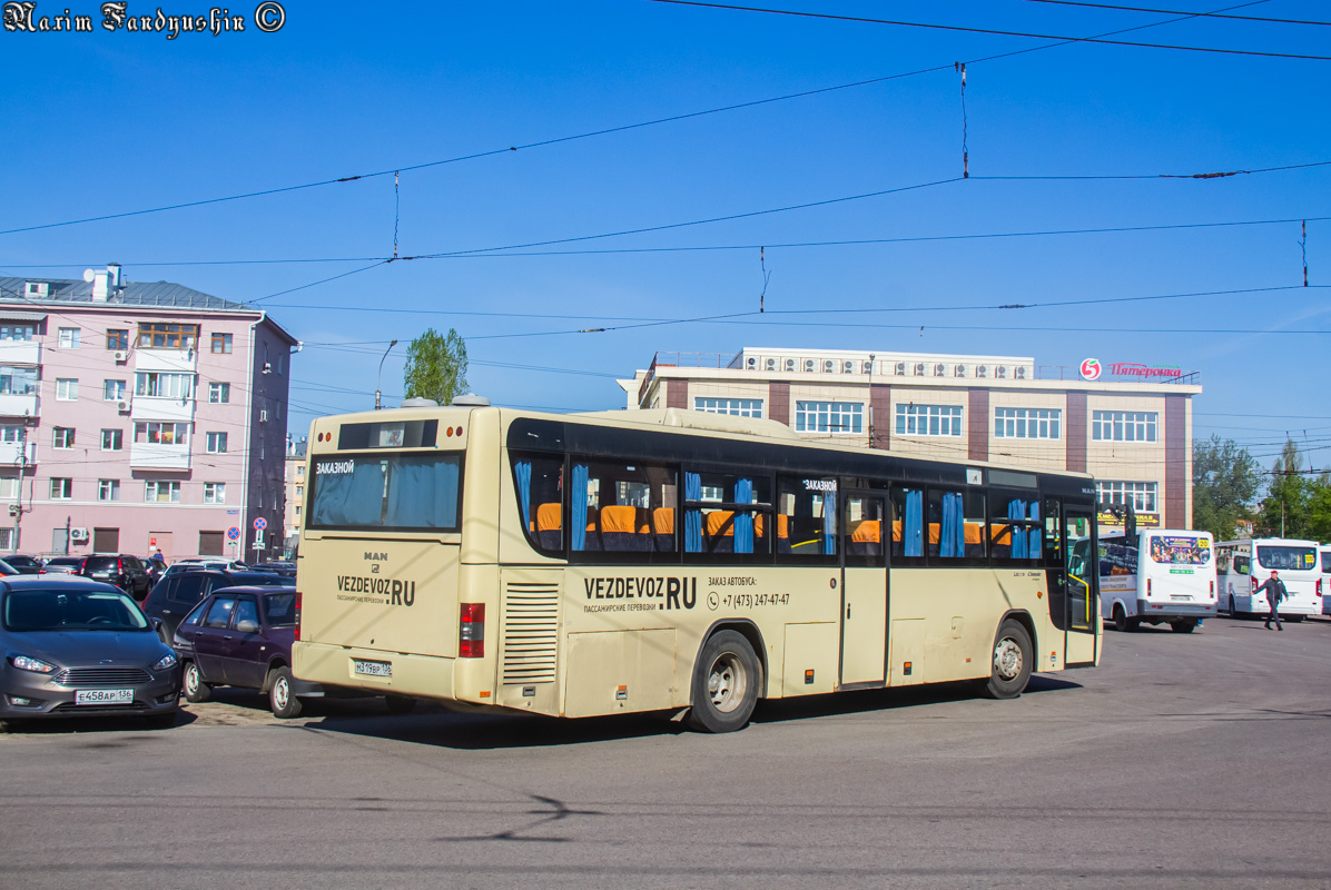 Воронежская область, MAN A72 Lion's Classic SÜ313 № М 319 ВР 136