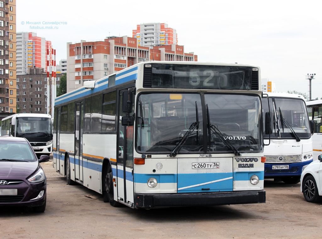 Воронежская область, Carrus K204 City № С 260 ТУ 36