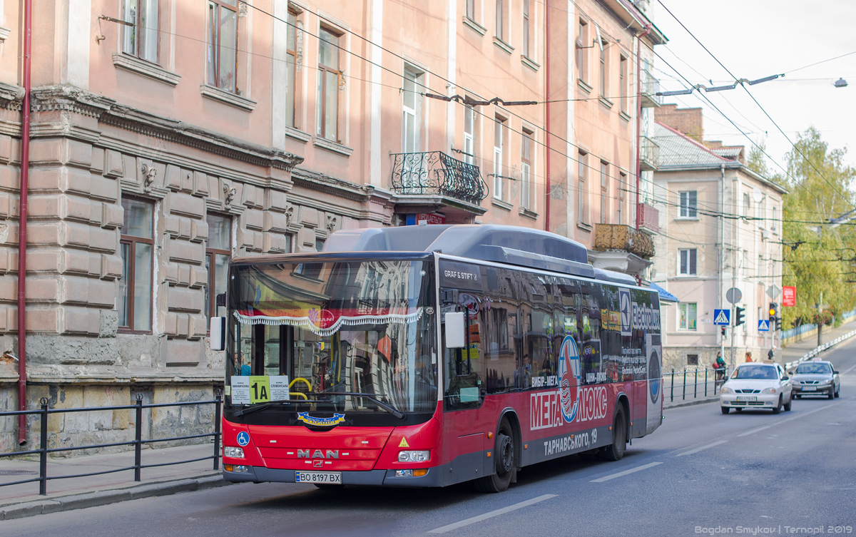 Тернопольская область, MAN A21 Lion's City NL273 LPG № BO 8197 BX