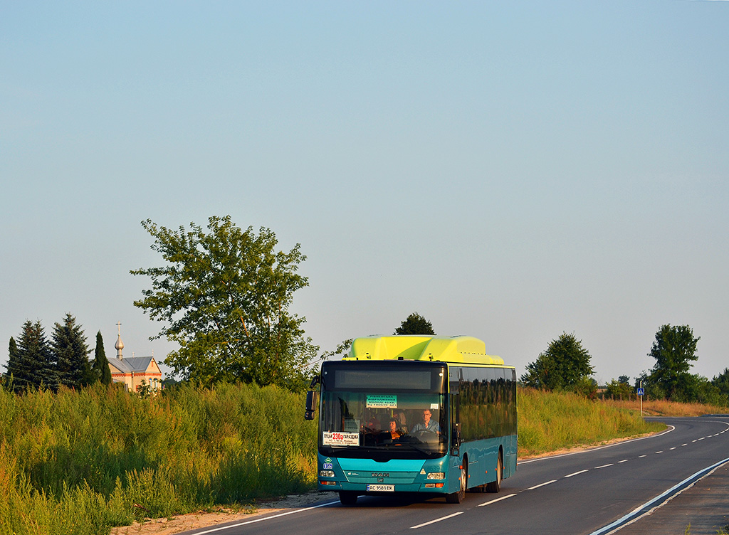 Волынская область, MAN A21 Lion's City NL243 CNG № AC 9581 EK