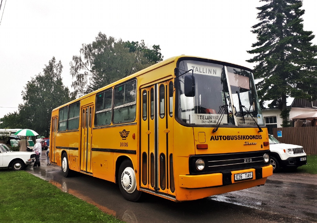 Эстония, Ikarus 260.37 № 1036; Эстония — Killavoor 2021