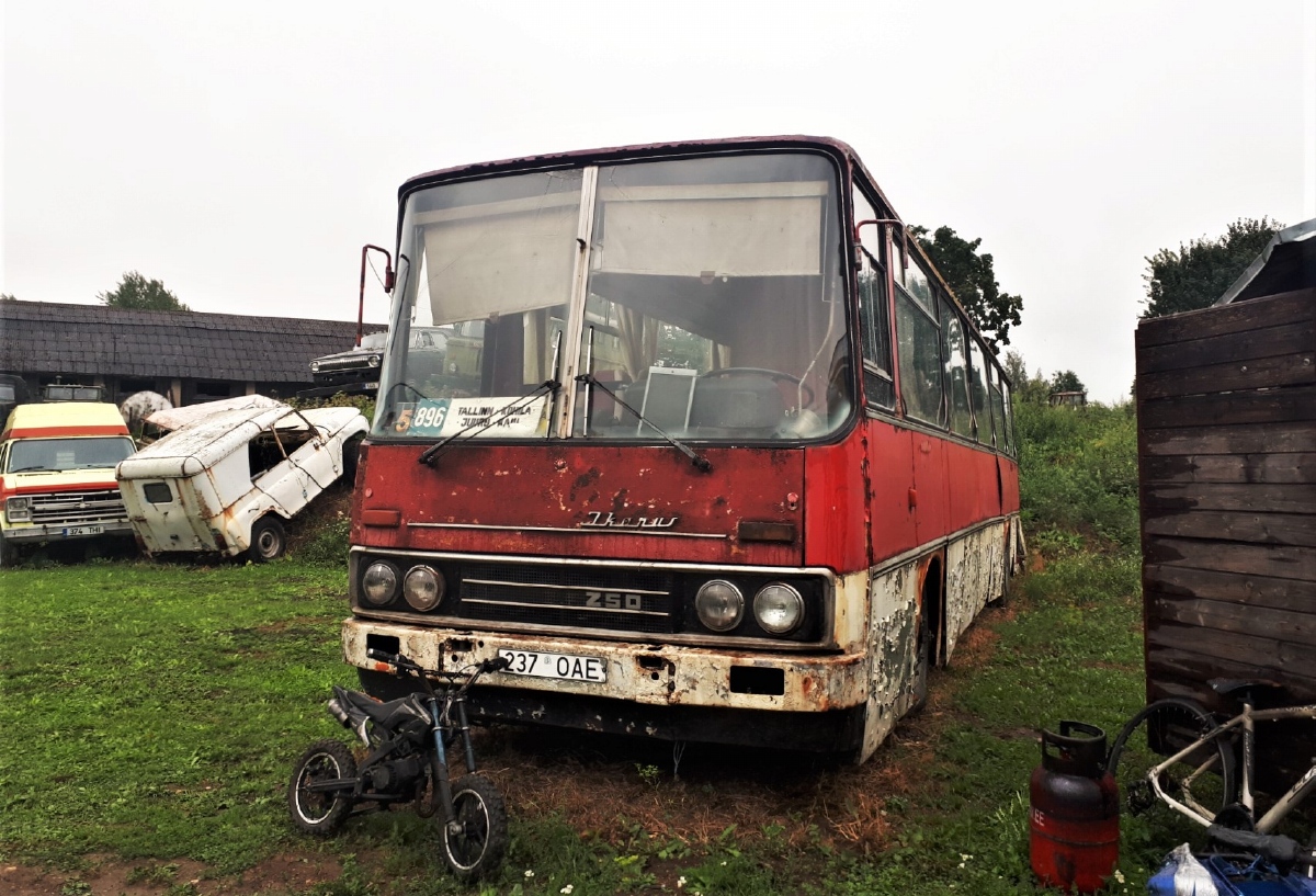 Эстония, Ikarus 250.12 № 183