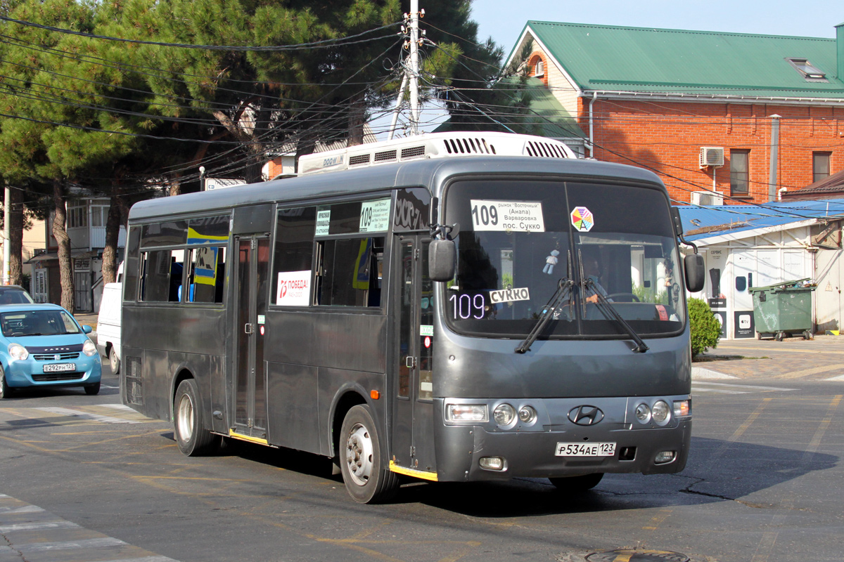 Краснодарский край, Hyundai AeroTown № Р 534 АЕ 123
