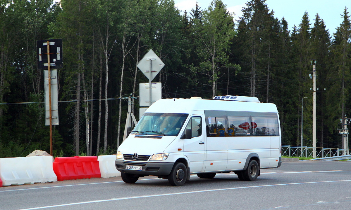 Санкт-Петербург, Луидор-223204 (MB Sprinter Classic) № В 083 СХ 147