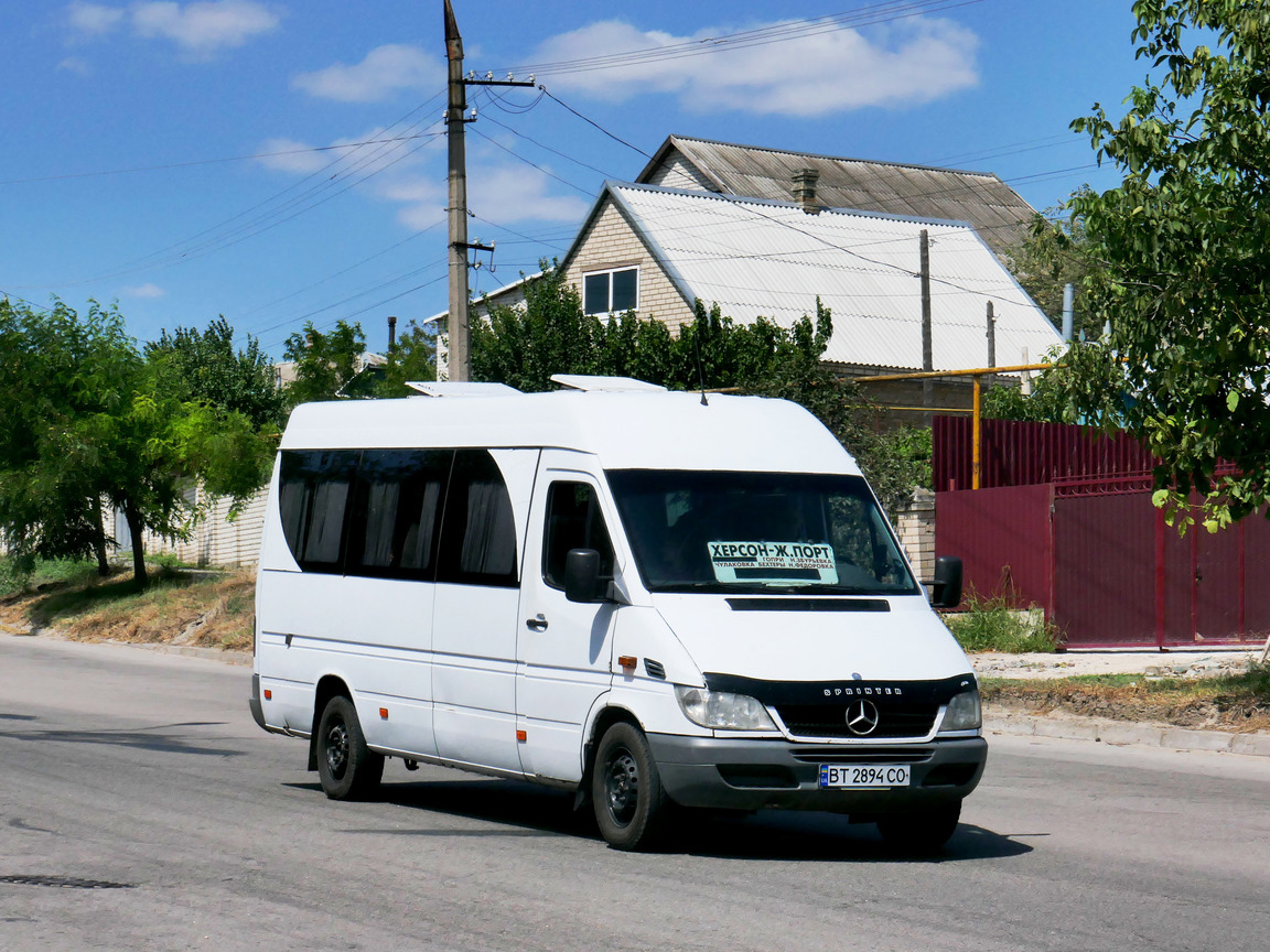 Херсонская область, Mercedes-Benz Sprinter W903 311CDI № BT 2894 CO