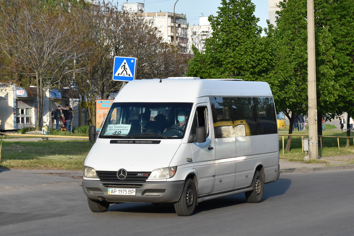 Запорожская область, Mercedes-Benz Sprinter W903 313CDI № AP 1975 BP