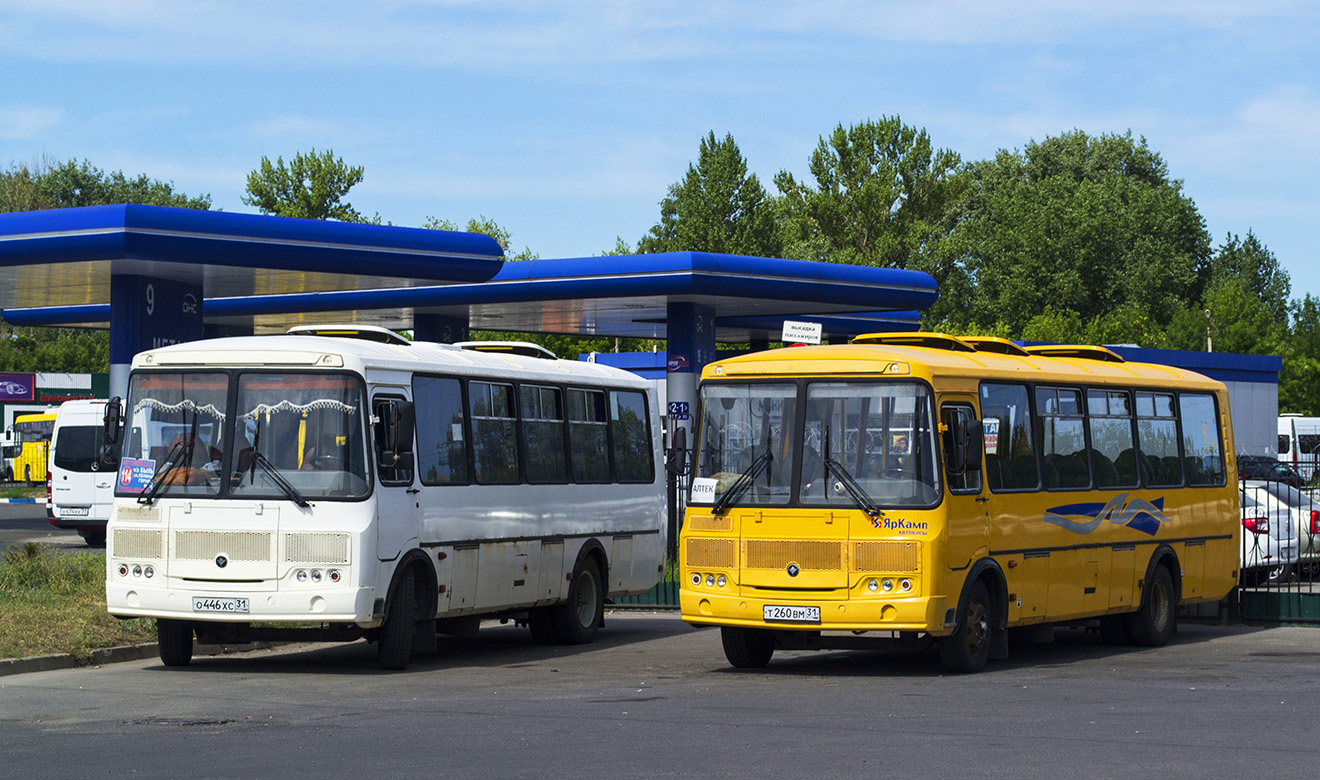 Белгородская область, ПАЗ-4234-04 № О 446 ХС 31; Белгородская область, ПАЗ-4234-04 № Т 260 ВМ 31