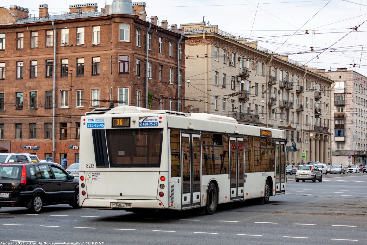 Санкт-Петербург, МАЗ-203.085 № 8213