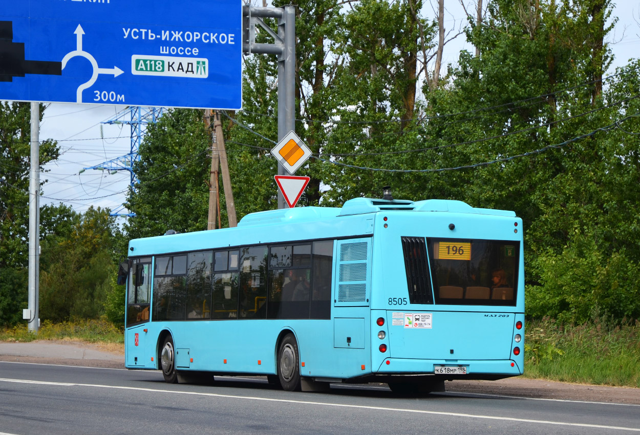 Санкт-Петербург, МАЗ-203.016 № 8505