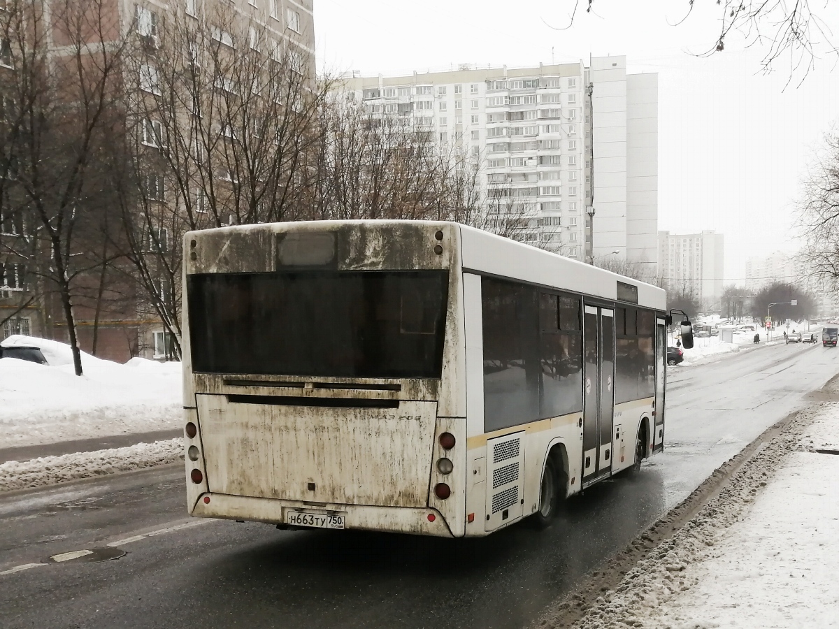 Маскоўская вобласць, МАЗ-206.086 № Н 663 ТУ 750