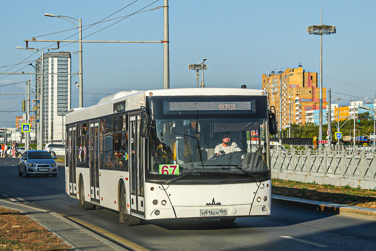 Самарская область, МАЗ-203.016 № 50403