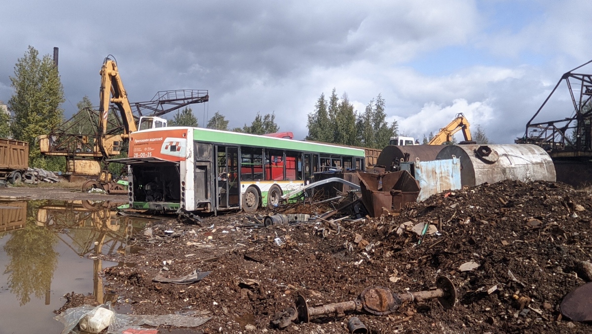 Новгородская область, Волжанин-6270.06 