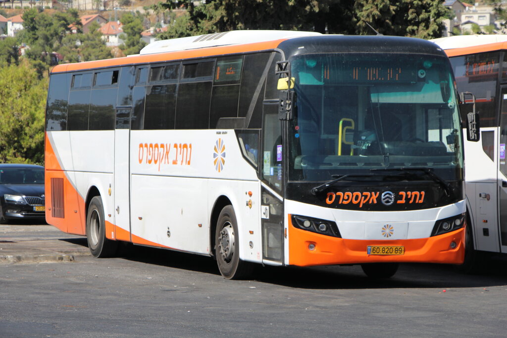 Израиль, Golden Dragon XML6121J (Israel) № 60-820-89