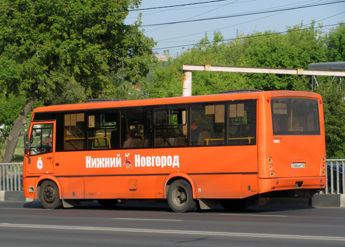 Нижегородская область, ПАЗ-320414-04 "Вектор" № 31002