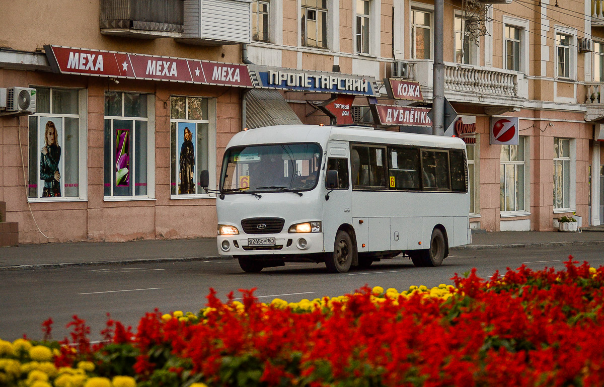 Алтайский край, Hyundai County LWB (ТагАЗ) № В 245 ОМ 161