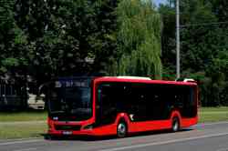 494 КБ