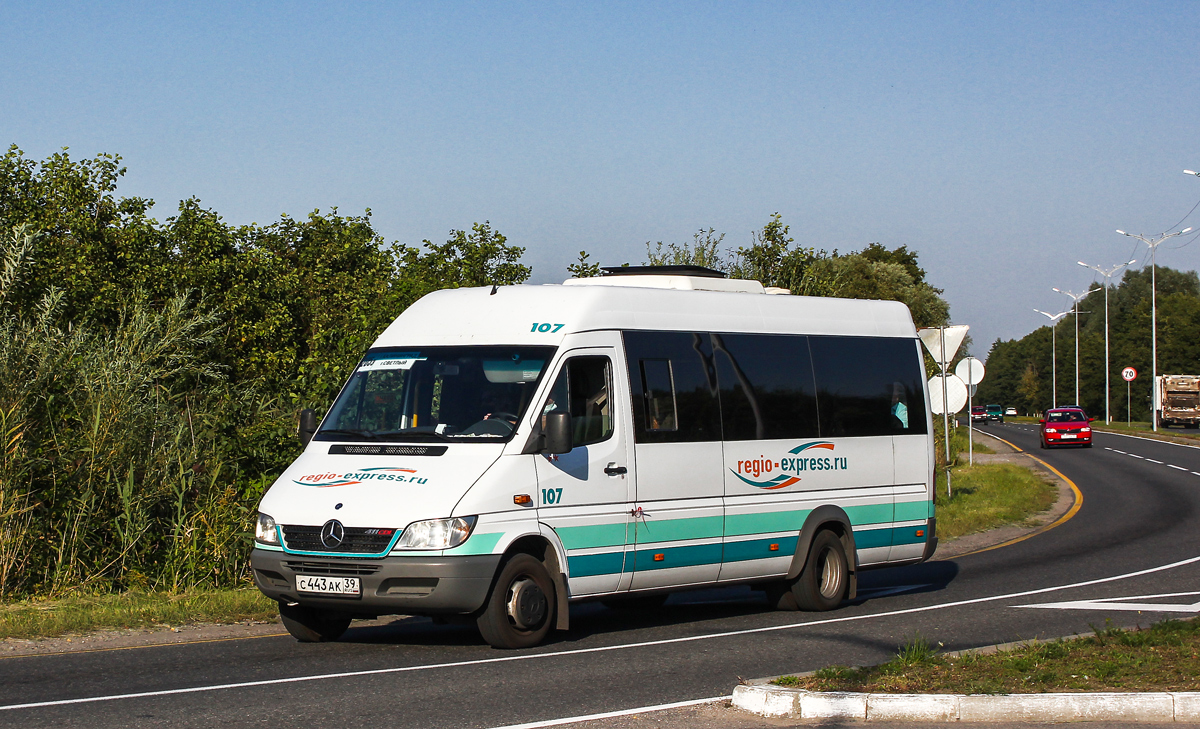 Калининградская область, Луидор-223206 (MB Sprinter Classic) № 107