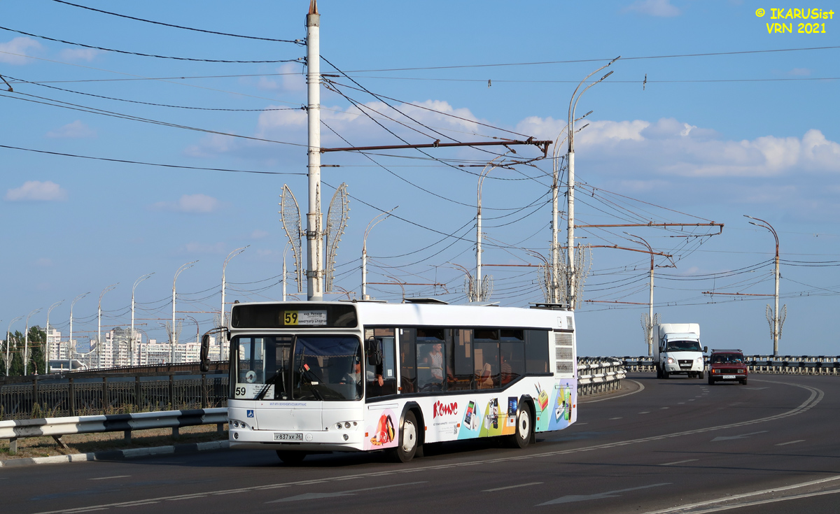 Воронежская область, МАЗ-103.469 № У 837 ХК 36