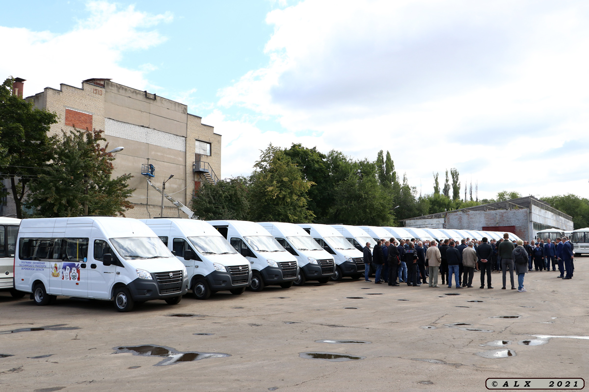 Воронежская область — Новые автобусы