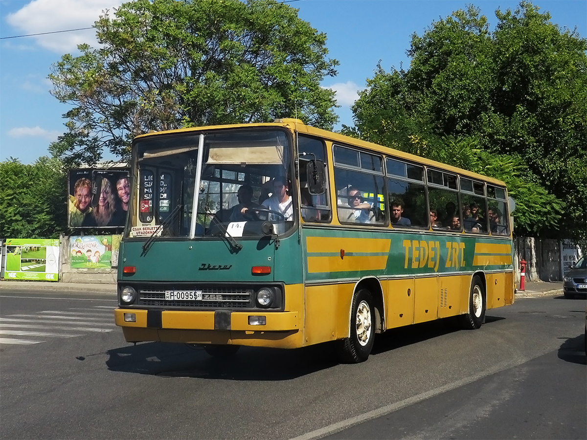 Венгрия, Ikarus 266.25 № P-00955 21; Венгрия — 15. Ikarus Nap, Budapest Mátyásföld (2021)