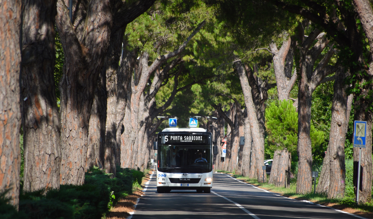 Италия, MAN A21 Lion's City NL323 № 717