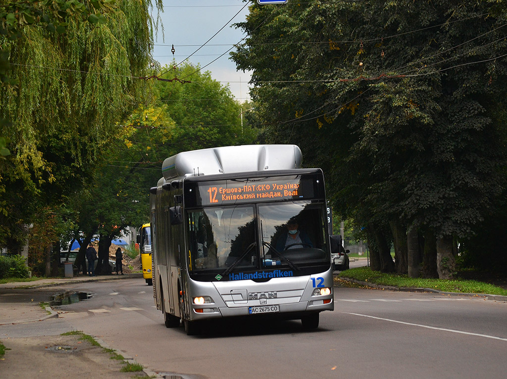 Волынская область, MAN A21 Lion's City NL313 CNG № 12