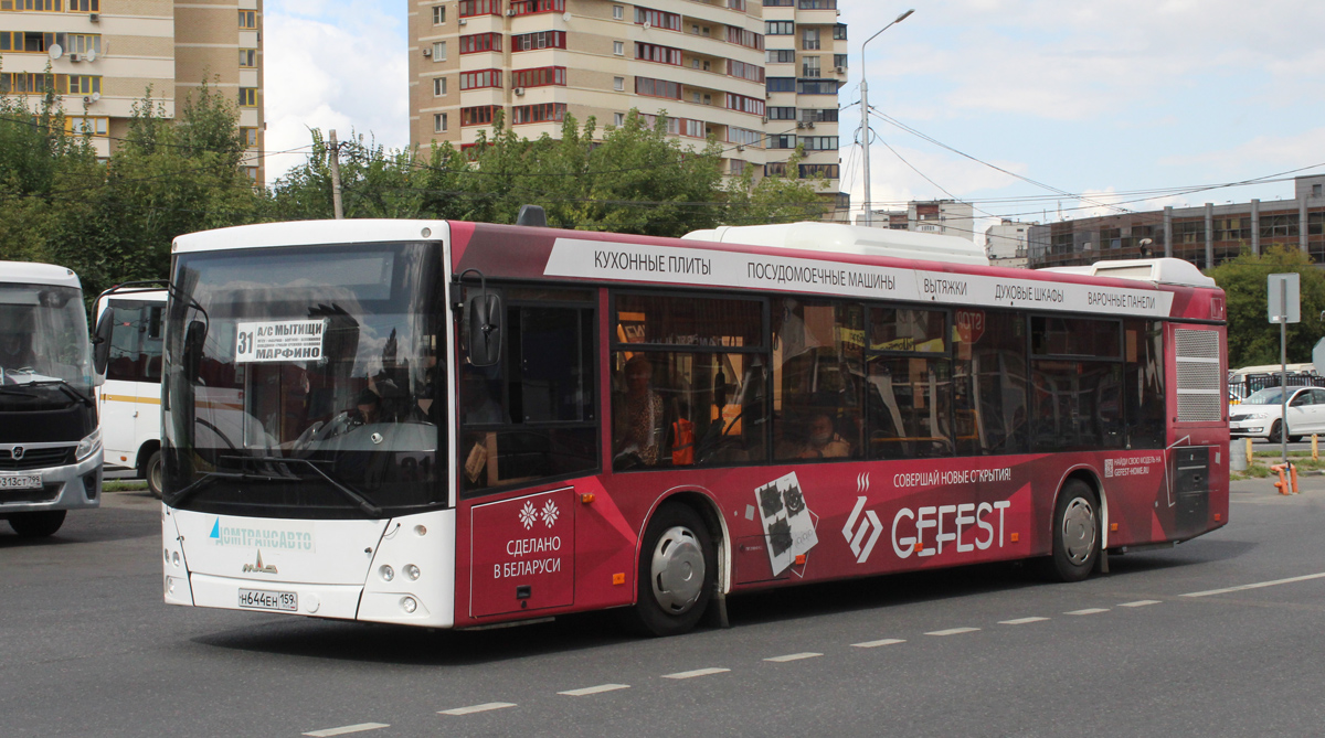 Московская область, МАЗ-203.016 № Н 644 ЕН 159 Московская область, МАЗ-203.016 № Н 644 ЕН 159