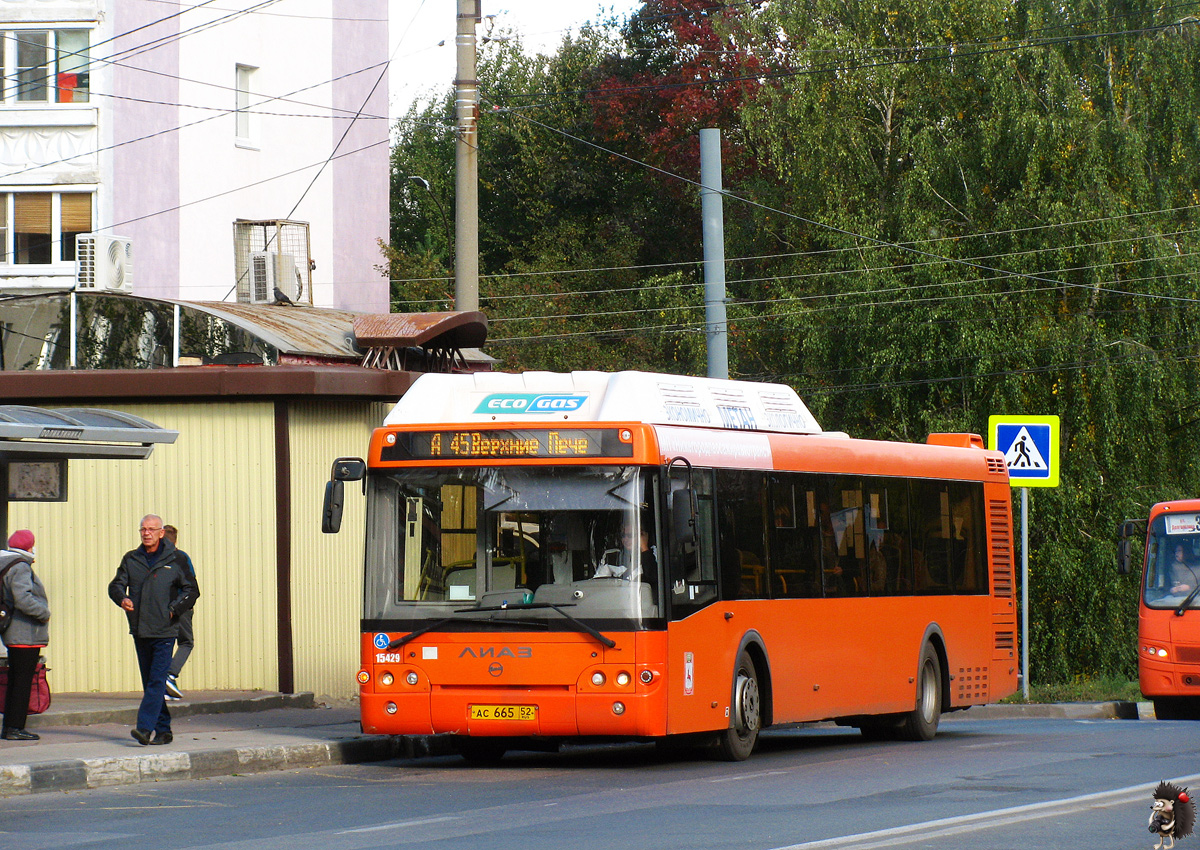 Нижегородская область, ЛиАЗ-5292.67 (CNG) № 15429