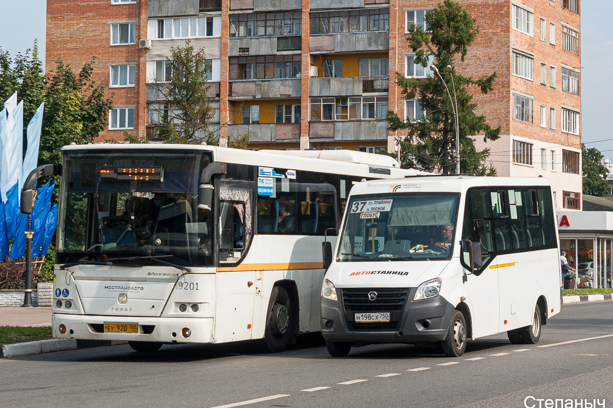 Московская область, ГАЗ-A64R42 Next № Н 198 СХ 750