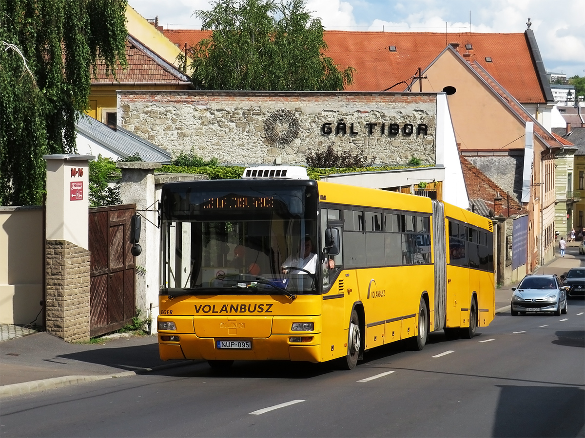 Венгрия, MAN A75 Lion's Classic G SG263 № NUP-095