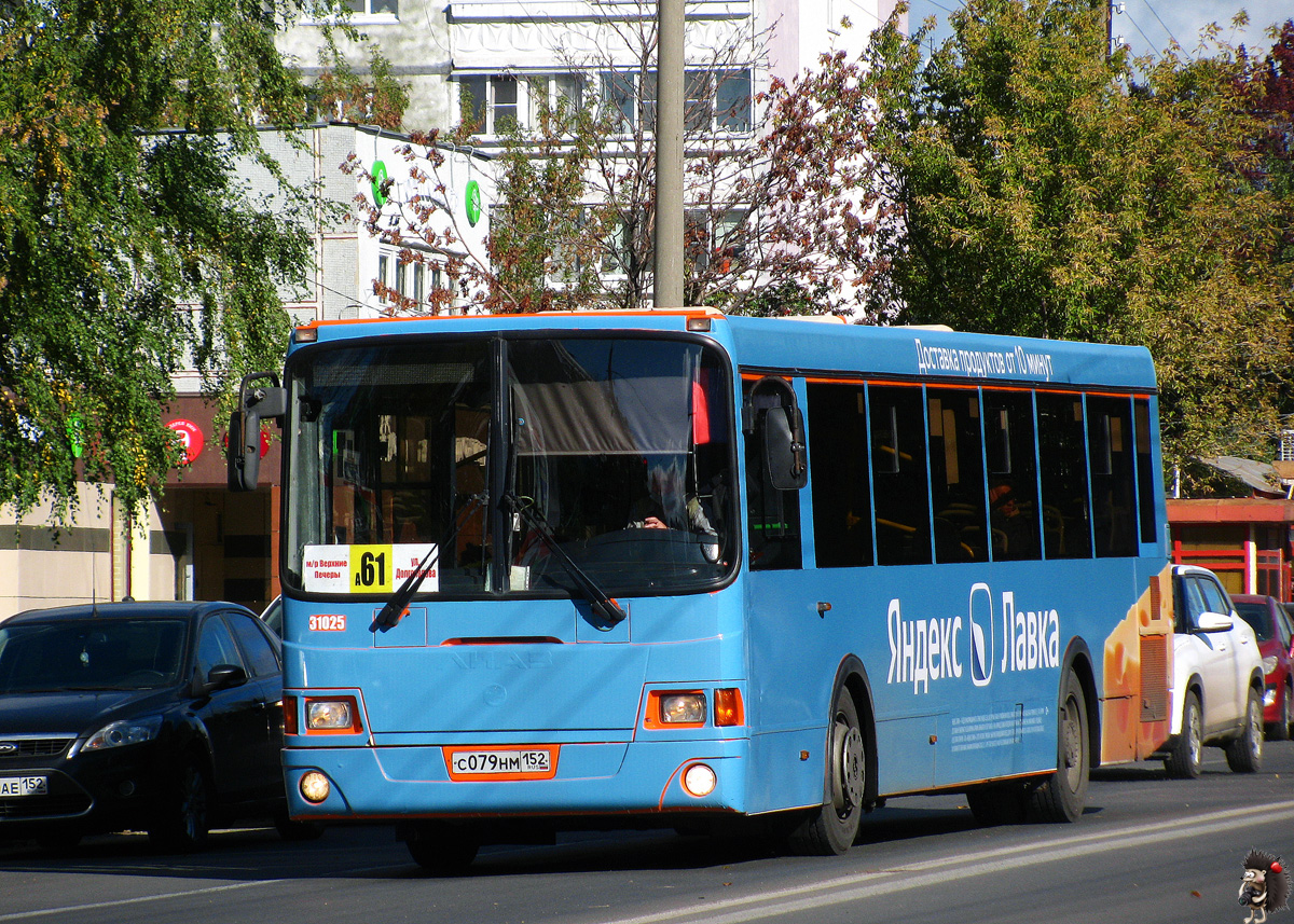 Нижегородская область, ЛиАЗ-5293.60 № 31025