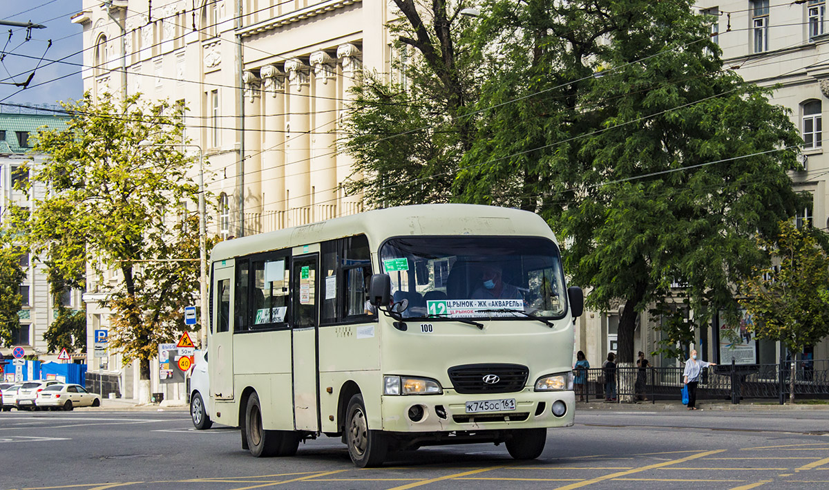 Ростовская область, Hyundai County SWB C08 (РЗГА) № 100