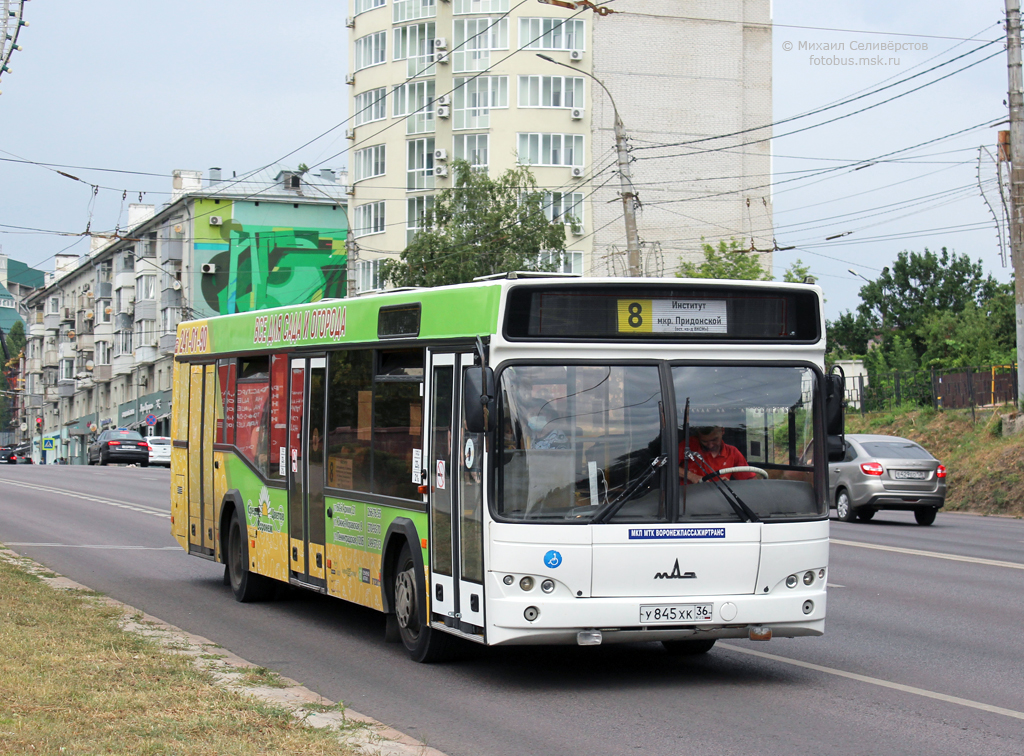 Воронежская область, МАЗ-103.469 № У 845 ХК 36