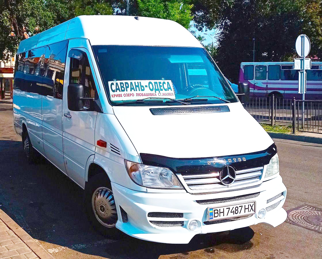 Одесская область, Mercedes-Benz Sprinter W903 313CDI № BH 7487 HX