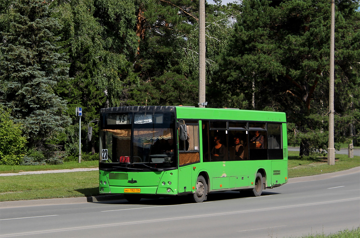 Новосибирская область, МАЗ-226.060 № 3132