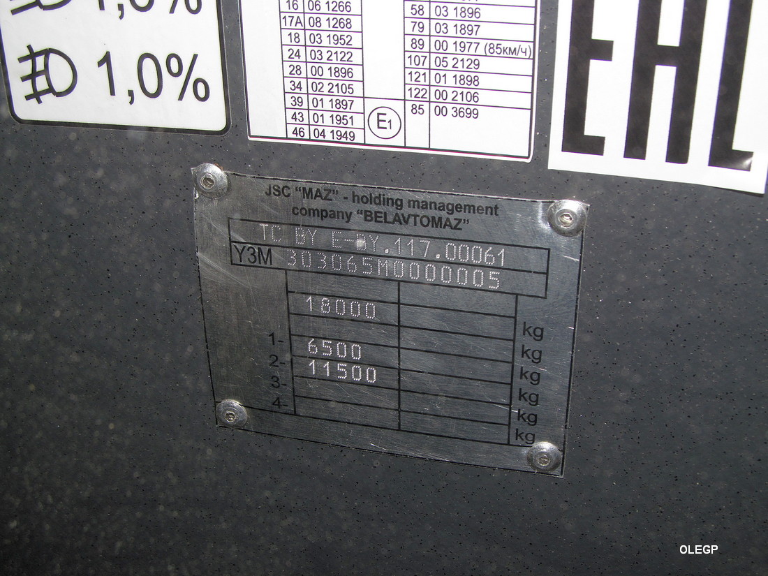 Витебская область, МАЗ-303.065 № 011894