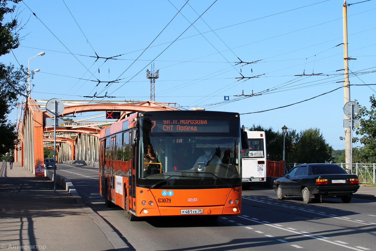 Калининградская область, МАЗ-203.085 № 63079