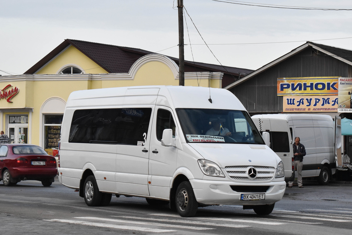 Хмельницкая область, Mercedes-Benz Sprinter W906 516CDI № BX 4041 ET