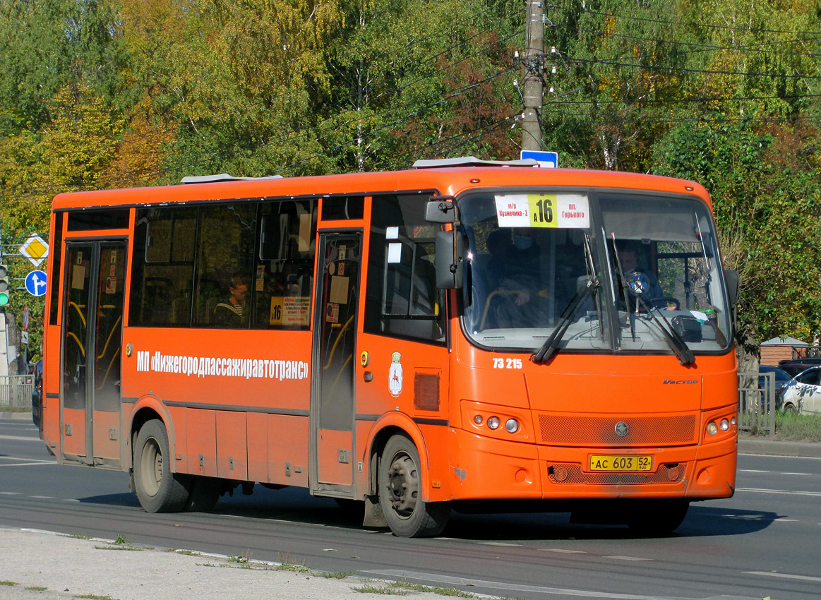 Нижегородская область, ПАЗ-320414-05 "Вектор" (1-2) № 73215