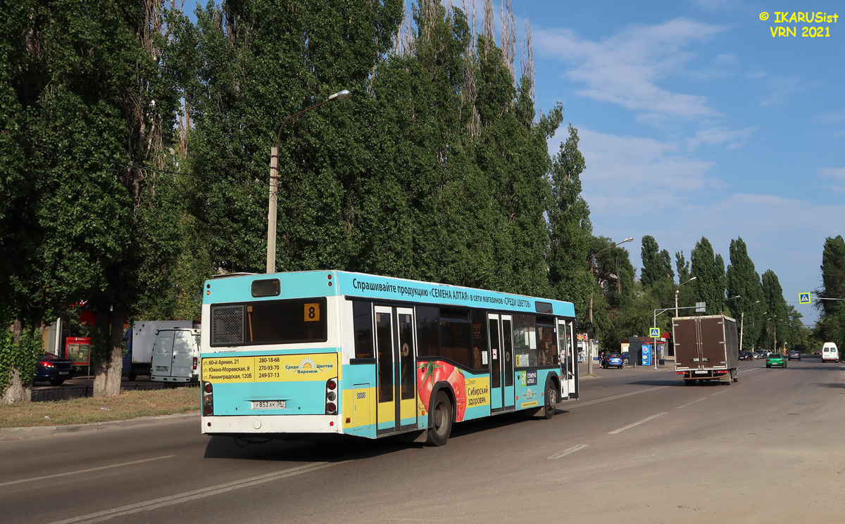 Воронежская область, МАЗ-103.469 № У 853 ХК 36