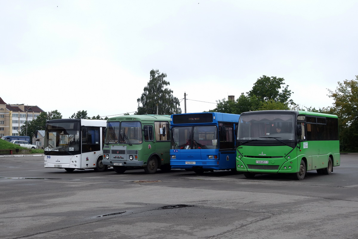 Brest region, MAZ-241.030 Nr. 65099; Brest region — Bus stations, autostations, final stops