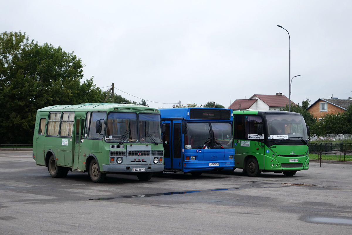 Брестская область, ПАЗ-32053 № 65031; Брестская область — Автовокзалы, автостанции, конечные остановки