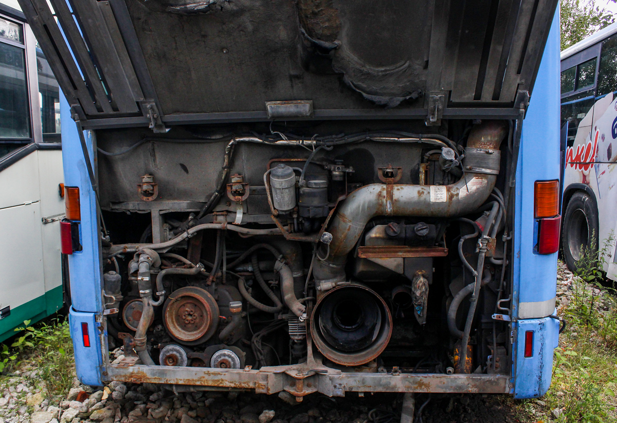 Калининградская область, Mercedes-Benz O530 Citaro № Р 948 КУ 39